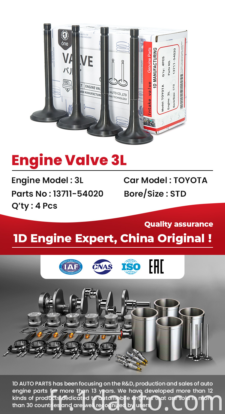 Toyota 3L Engine Valves 